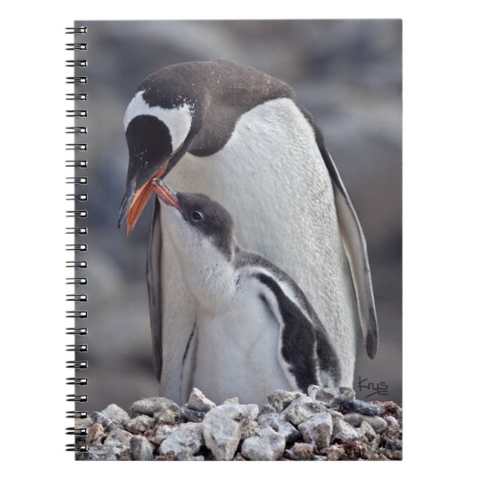 Gentoo en kuiken notitieboek (Voorkant)