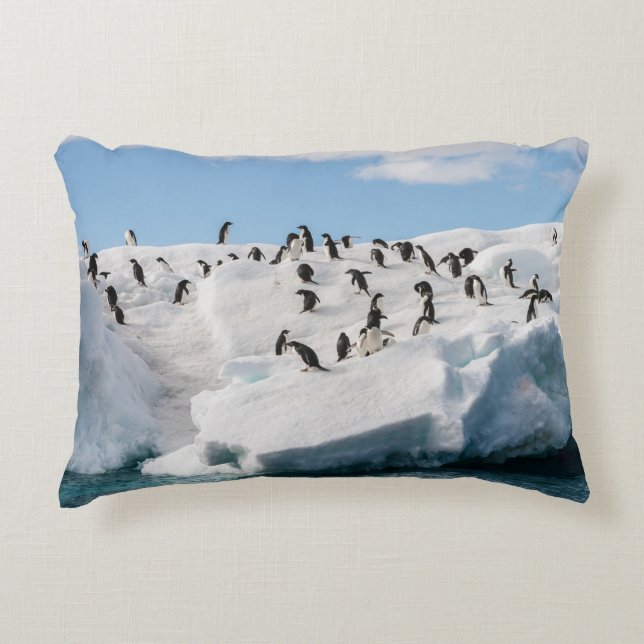 Gentoo Penguin Antarctica Iceberg Speeltijd Accent Kussen (Voorkant)