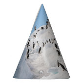 Gentoo Penguin Antarctica Iceberg Speeltijd Feesthoedjes (Links)