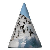 Gentoo Penguin Antarctica Iceberg Speeltijd Feesthoedjes (Rechts)
