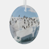 Gentoo Penguin Antarctica Iceberg Speeltijd Glas Ornament (Voorkant Rechts)