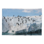 Gentoo Penguin Antarctica Iceberg Speeltijd Kussensloop (Achterkant)