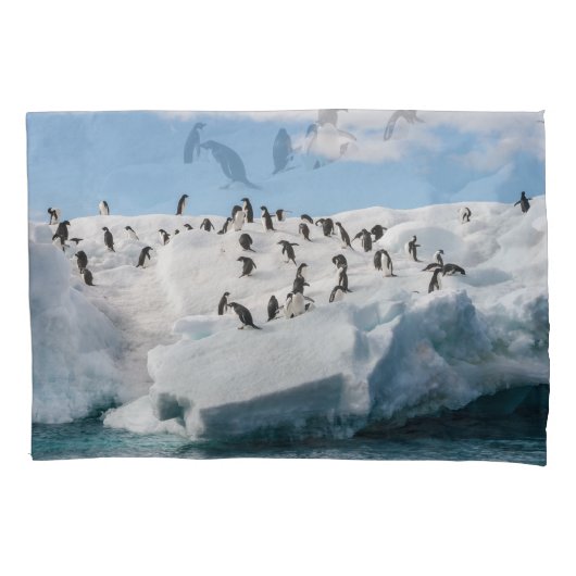 Gentoo Penguin Antarctica Iceberg Speeltijd Kussensloop (Voorkant)