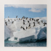 Gentoo Penguin Antarctica Iceberg Speeltijd Legpuzzel (Verticaal)