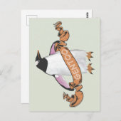 Gentoo penguin briefkaart (Voorkant / Achterkant)