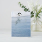Gentoo penguin briefkaart (Staand voorkant)