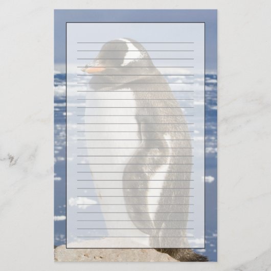 Gentoo Penguin Briefpapier (Voorkant)