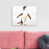 Gentoo Penguin Canvas Afdruk (Insitu (Woonkamer))