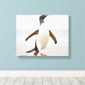 Gentoo Penguin Canvas Afdruk (Insitu (Houten vloer))