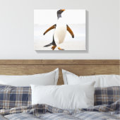 Gentoo Penguin Canvas Afdruk (Insitu (Slaapkamer))
