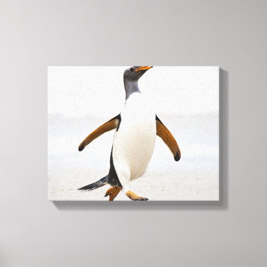 Gentoo Penguin Canvas Afdruk (Voorkant)