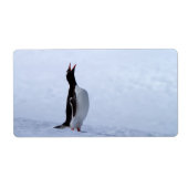 Gentoo penguin etiket (Voorkant)