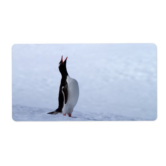 Gentoo penguin etiket (Voorkant)