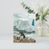 Gentoo Penguin Family Briefkaart (Staand voorkant)