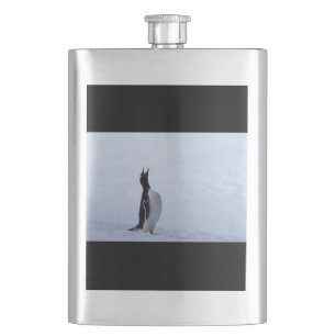Gentoo penguin flacon