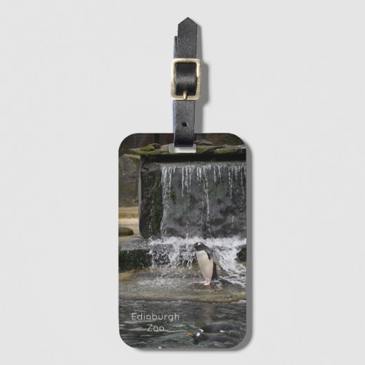 Gentoo Penguin & Friends Edinburgh Zoo Scotland Bagagelabel (Voorkant (verticaal))