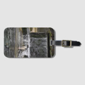 Gentoo Penguin & Friends Edinburgh Zoo Scotland Bagagelabel (Voorkant (horizontaal))