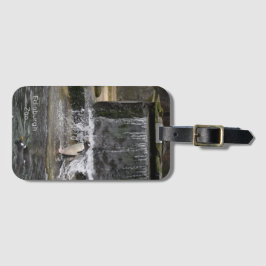 Gentoo Penguin & Friends Edinburgh Zoo Scotland Bagagelabel