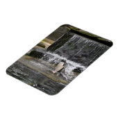 Gentoo Penguin & Friends Edinburgh Zoo Scotland Magneet (Linkerzijde)