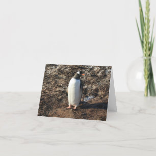 Gentoo penguin (HO)-kaart Feestdagen Kaart