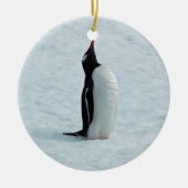 Gentoo Penguin in Antarctica Ornament (Voorkant)