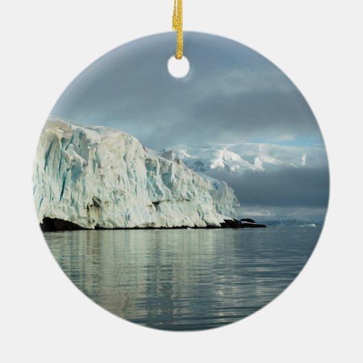 Gentoo Penguin in Antarctica Ornament (Achterkant)