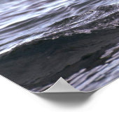 Gentoo Penguin Jumping in water Poster (Hoek)