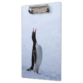 Gentoo penguin klembord (Links)
