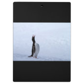 Gentoo penguin klembord (Achterkant)