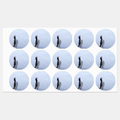 Gentoo penguin labels (Vel)