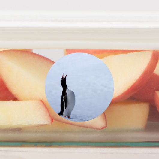 Gentoo penguin labels (Aangebracht)