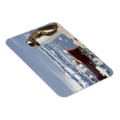 Gentoo Penguin Magneet (Rechterzijde)