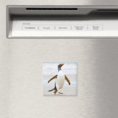Gentoo Penguin Magneet (Insitu (Vaatwasser))