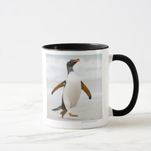 Gentoo Penguin Mok