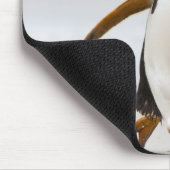 Gentoo Penguin Muismat (Hoek)