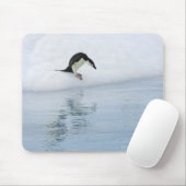 Gentoo penguin muismat (Met muis)