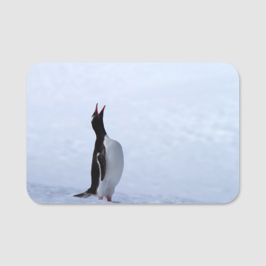 Gentoo penguin naamplaatje (Voorkant)