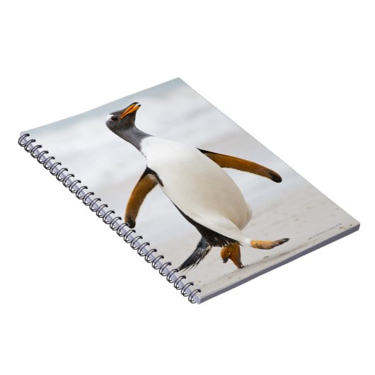 Gentoo Penguin Notitieboek (Rechterzijde)