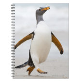 Gentoo Penguin Notitieboek (Voorkant)