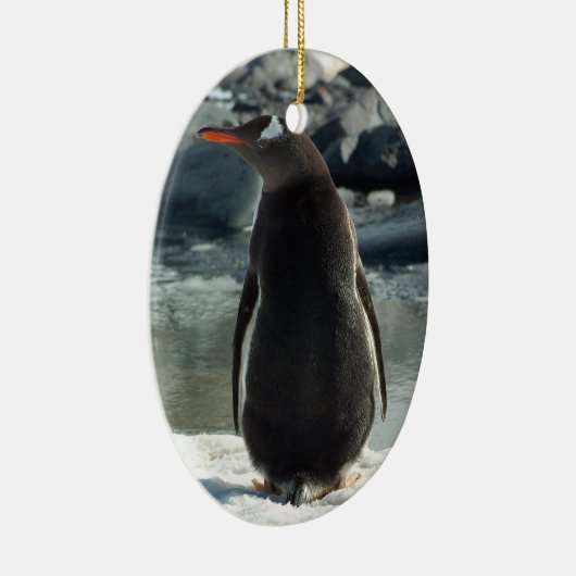 Gentoo Penguin Ornament (Rechts)