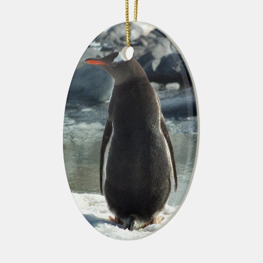 Gentoo Penguin Ornament (Links)