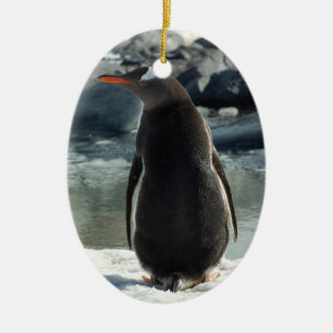 Gentoo Penguin Ornament