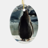 Gentoo Penguin Ornament (Achterkant)