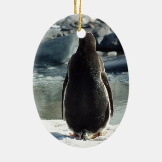 Gentoo Penguin Ornament (Achterkant)