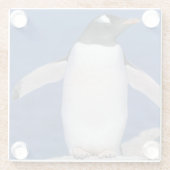 Gentoo Penguin Pygoscelis papua) Port Glazen Onderzetter (Achterkant)