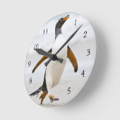 Gentoo Penguin Ronde Klok (Hoek)