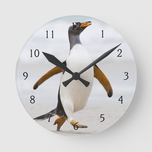Gentoo Penguin Ronde Klok (Voorkant)