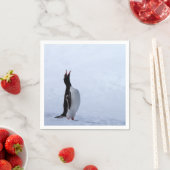 Gentoo penguin servet (Insitu)