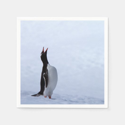 Gentoo penguin servet (Voorkant)