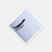 Gentoo penguin servet (Hoek)